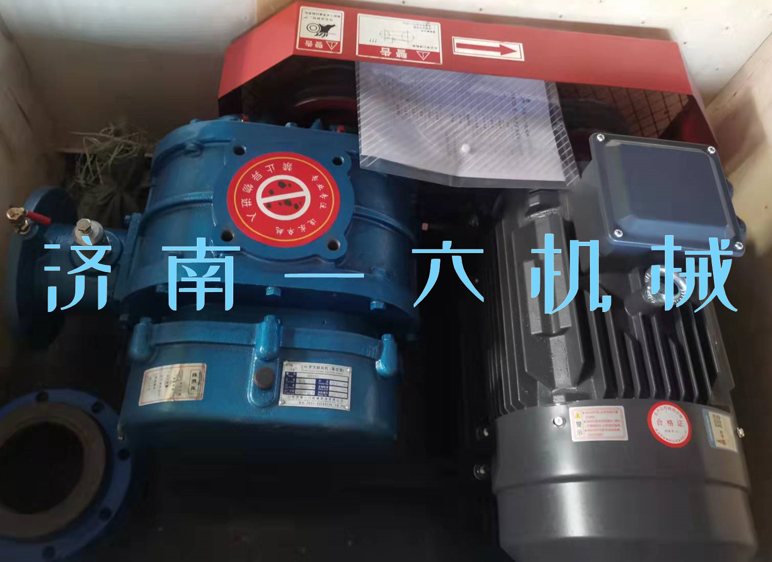 1646807371108320.jpg 1646807371108320.jpg